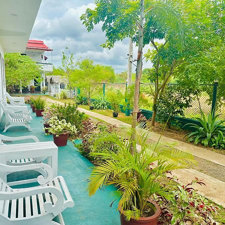 New Peacock Resort Dambulla Luaran gambar