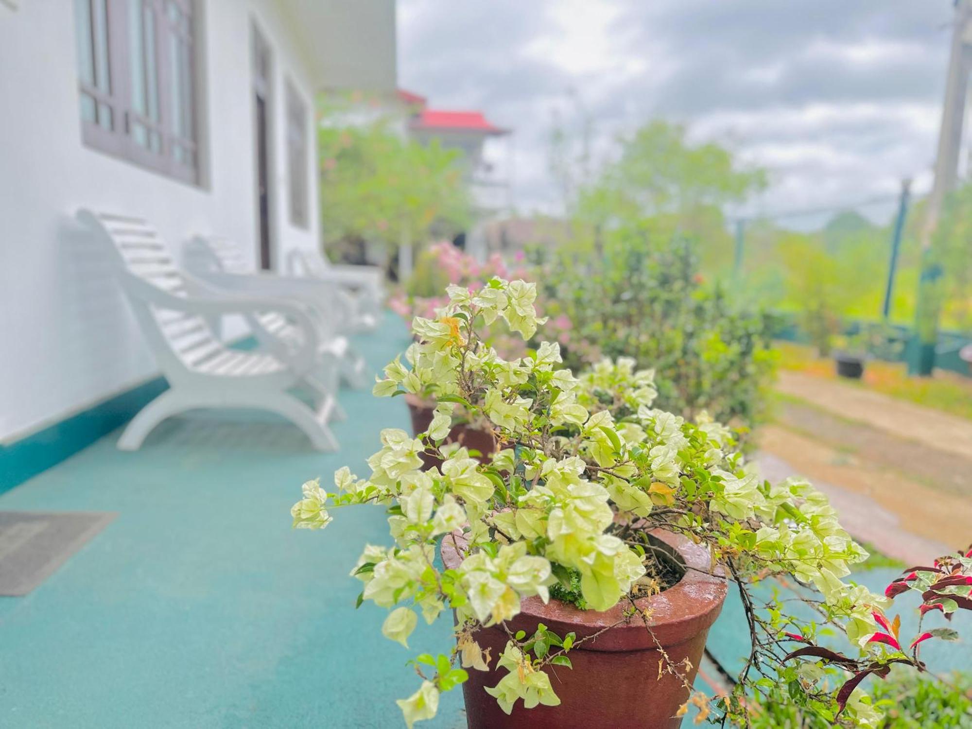 New Peacock Resort Dambulla Luaran gambar
